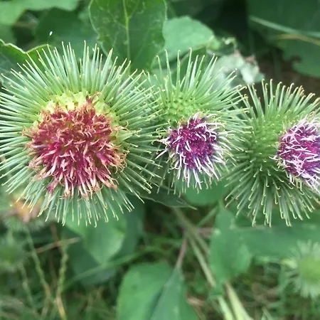 公寓 Haus Tanneck, Nr 6 *