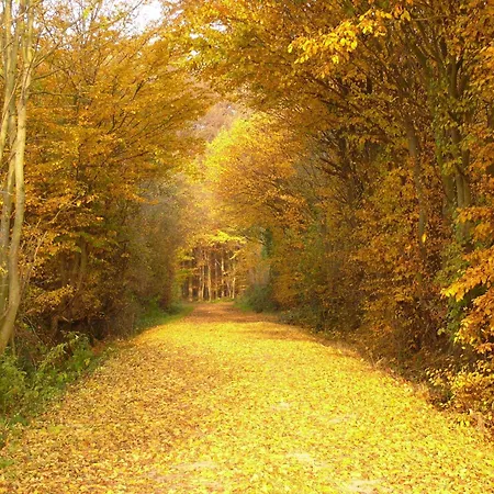 公寓 Haus Tanneck, Nr 6