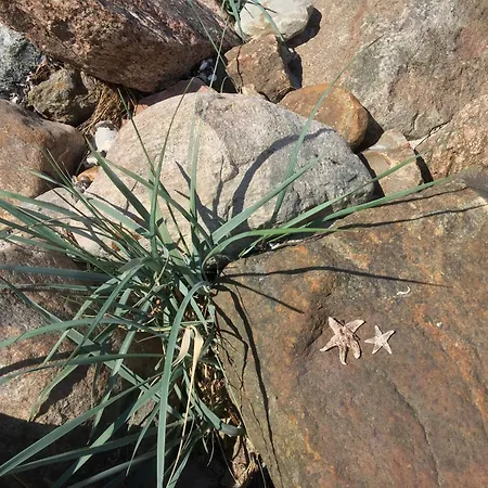 Haus Tanneck, Nr 6 克伦胡森