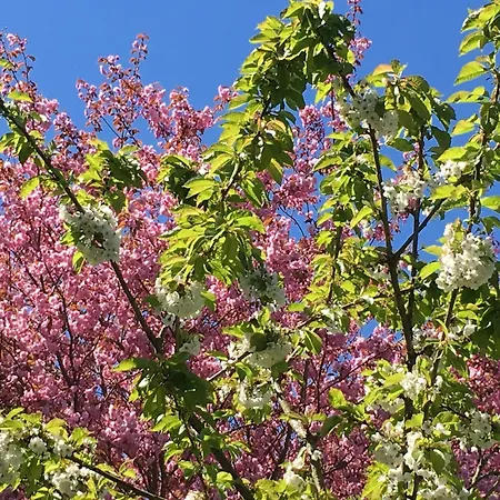 Haus Tanneck, Nr 6 *